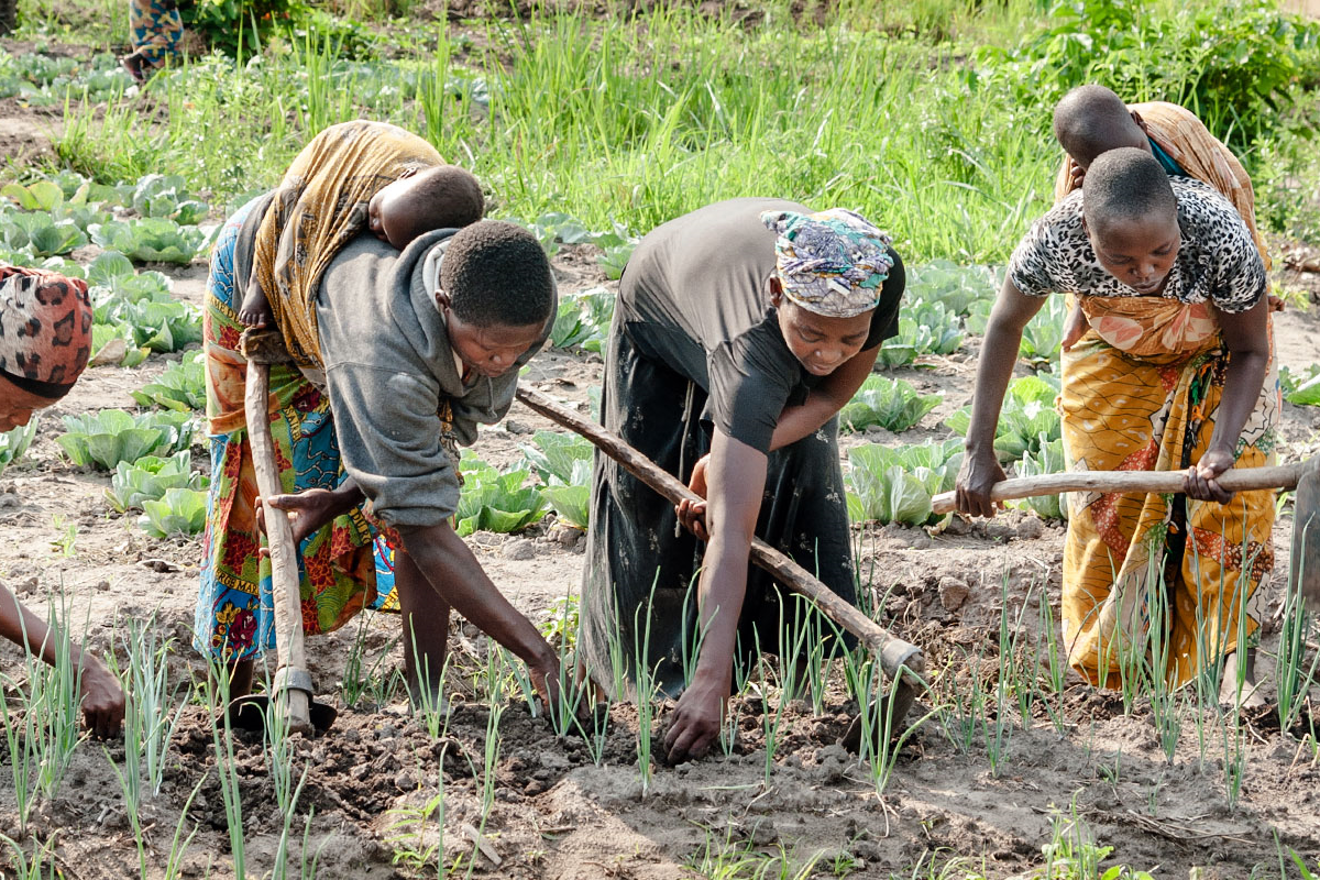 women work in a field
