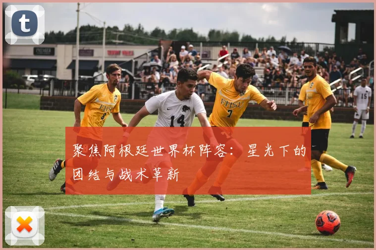 聚焦阿根廷世界杯阵容：星光下的团结与战术革新