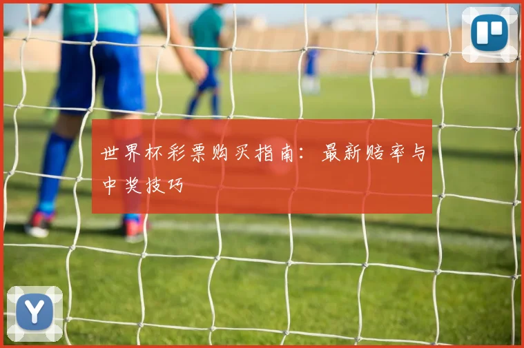 世界杯彩票购买指南：最新赔率与中奖技巧